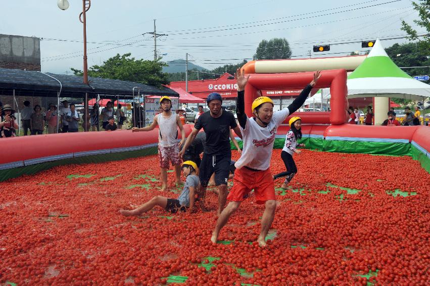 2016 화천토마토축제장 전경 의 사진