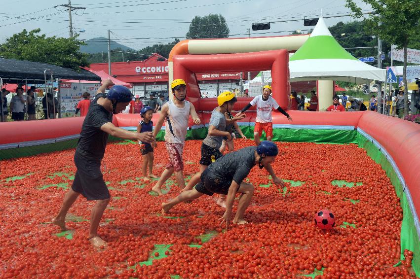 2016 화천토마토축제장 전경 의 사진