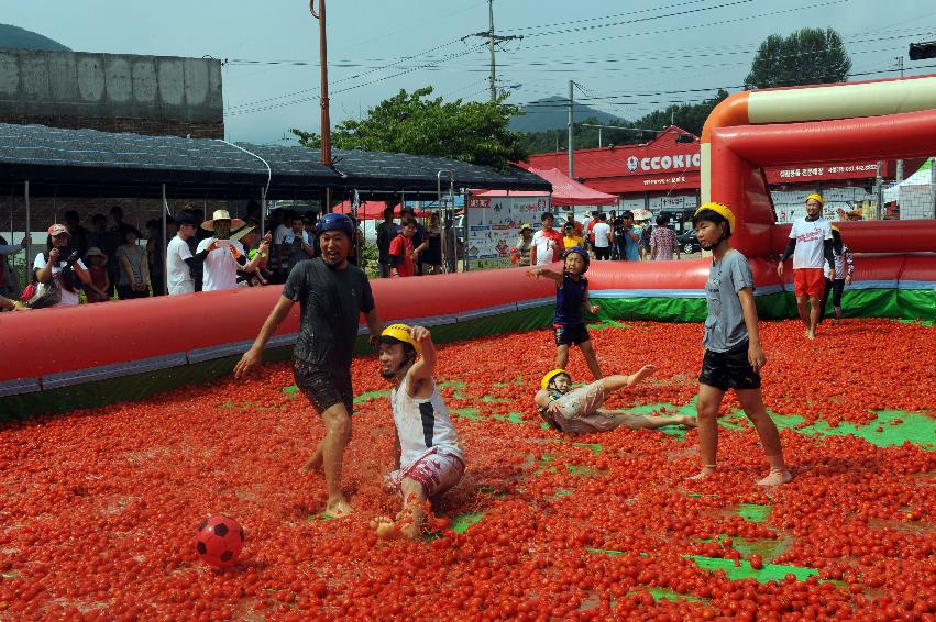 2016 화천토마토축제장 전경 의 사진