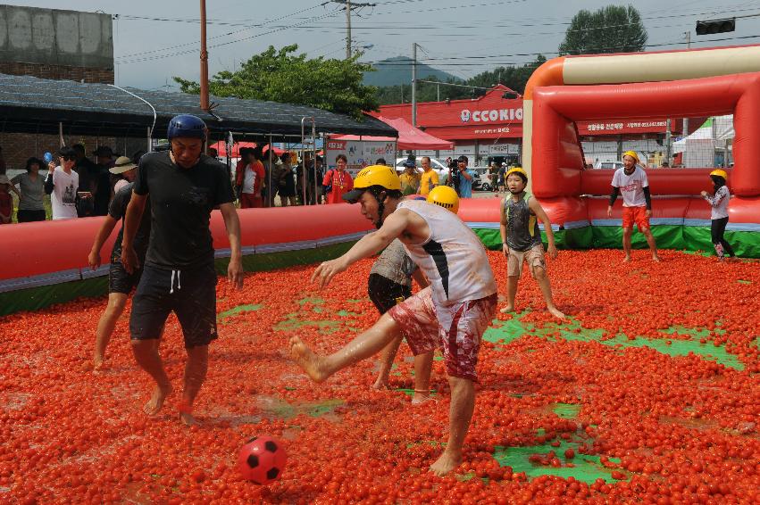 2016 화천토마토축제장 전경 의 사진