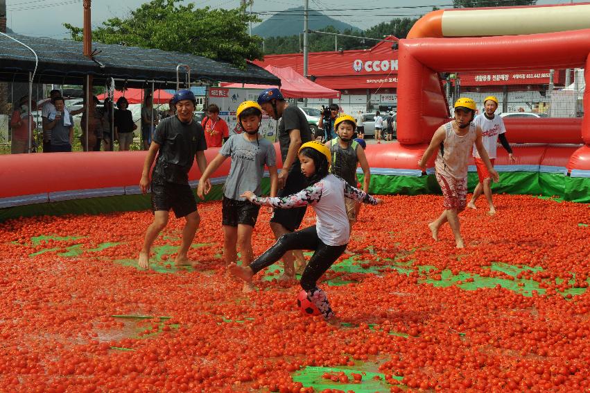 2016 화천토마토축제장 전경 의 사진