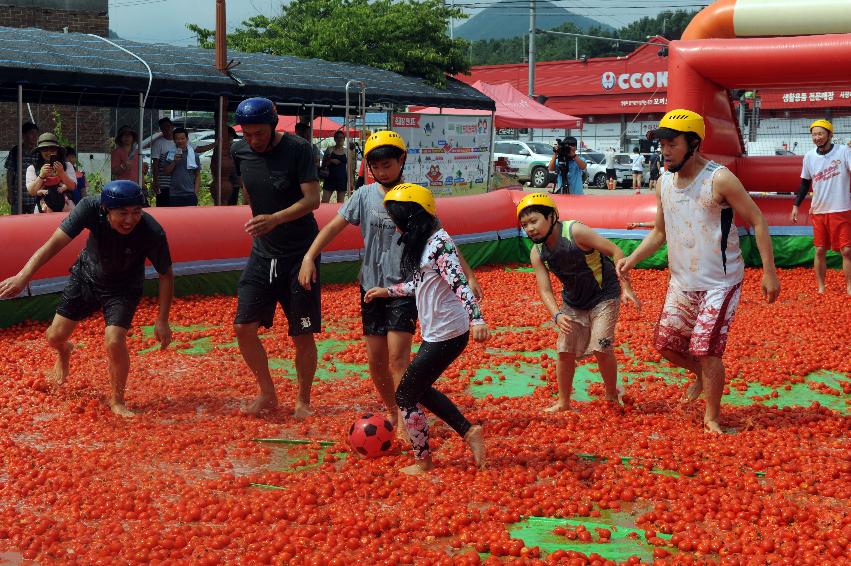 2016 화천토마토축제장 전경 의 사진