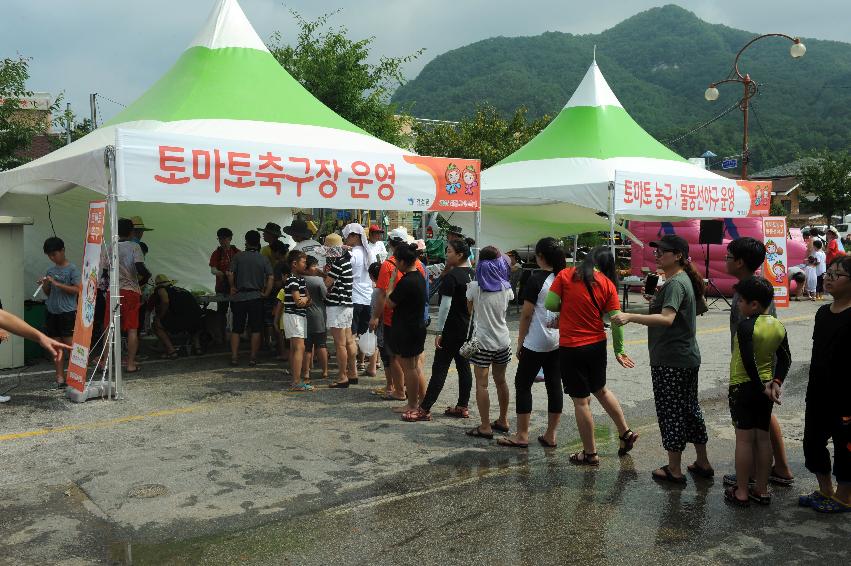 2016 화천토마토축제장 전경 의 사진