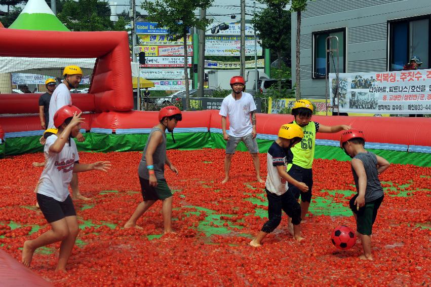 2016 화천토마토축제장 전경 의 사진