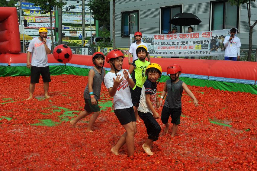 2016 화천토마토축제장 전경 의 사진