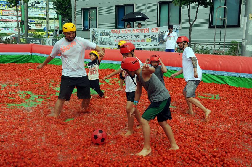 2016 화천토마토축제장 전경 의 사진