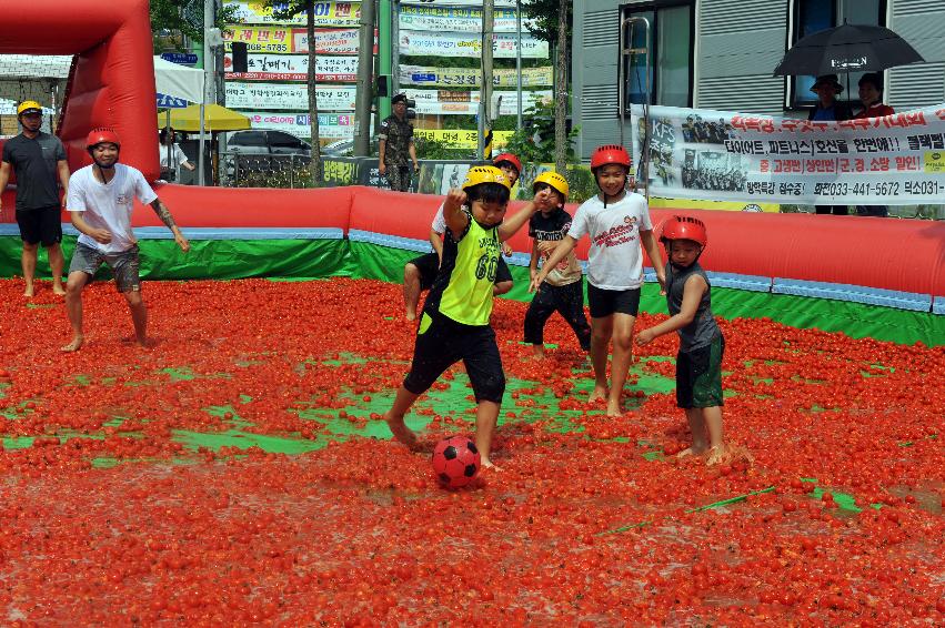 2016 화천토마토축제장 전경 의 사진