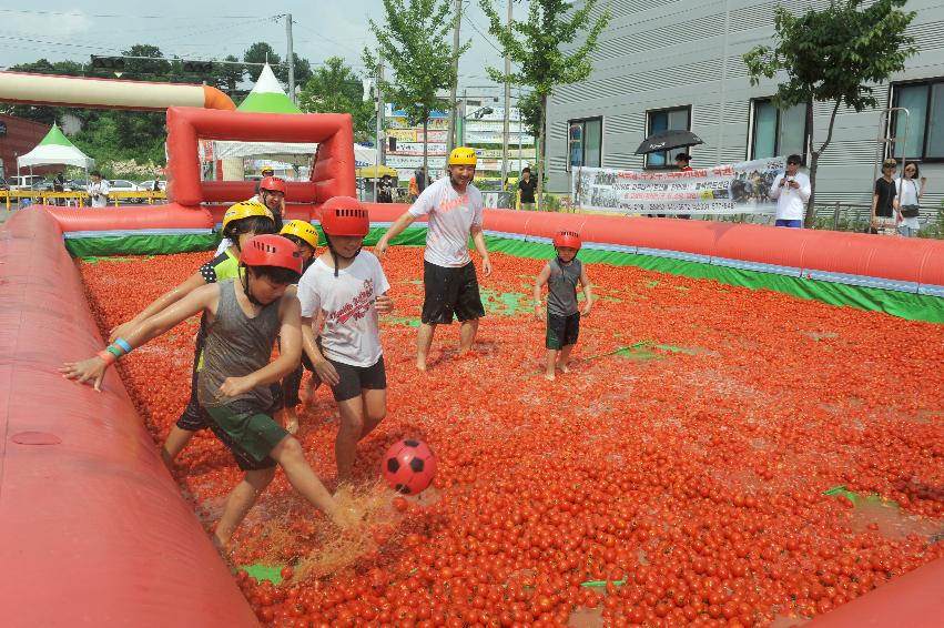 2016 화천토마토축제장 전경 의 사진