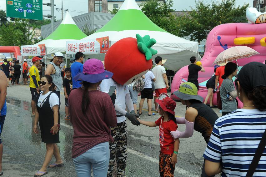 2016 화천토마토축제장 전경 의 사진