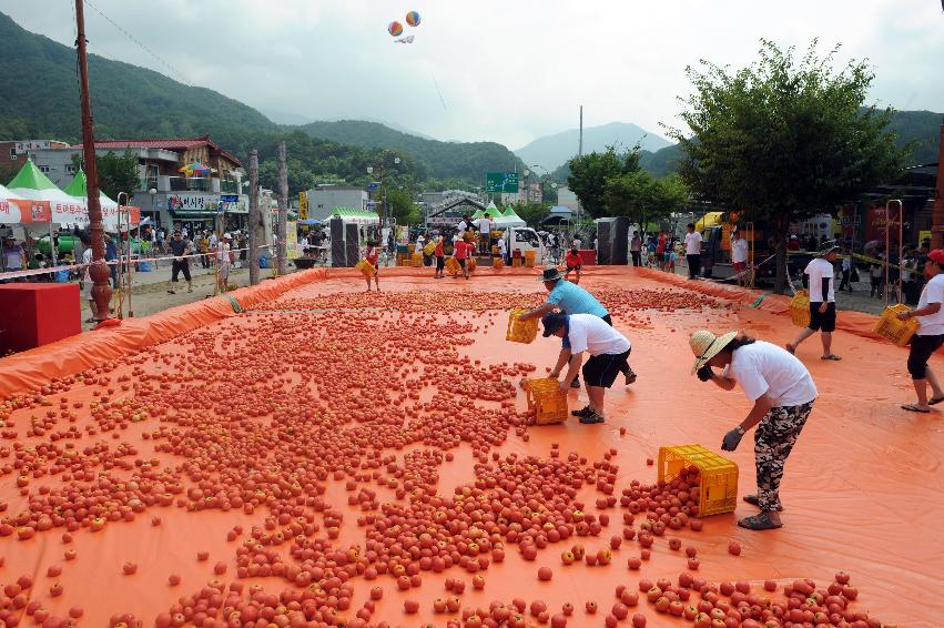 2016 화천토마토축제장 전경 의 사진