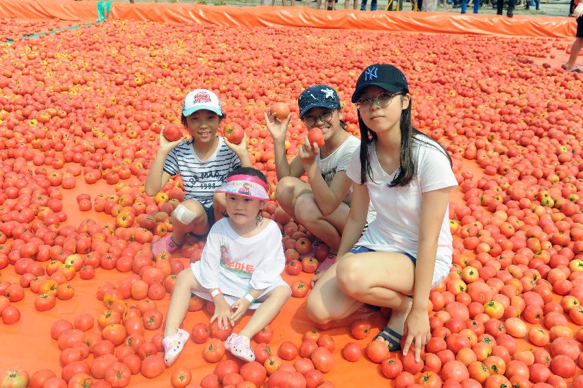 2016 화천토마토축제장 전경 의 사진