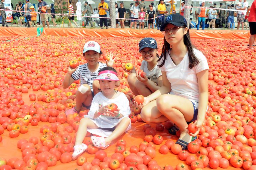 2016 화천토마토축제장 전경 의 사진