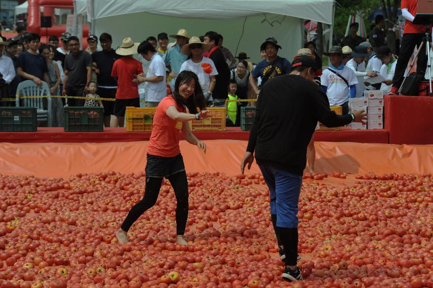 2016 화천토마토축제장 전경 의 사진