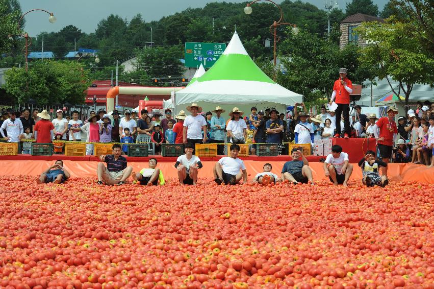 2016 화천토마토축제장 전경 의 사진