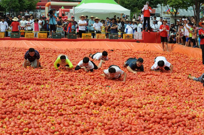 2016 화천토마토축제장 전경 의 사진