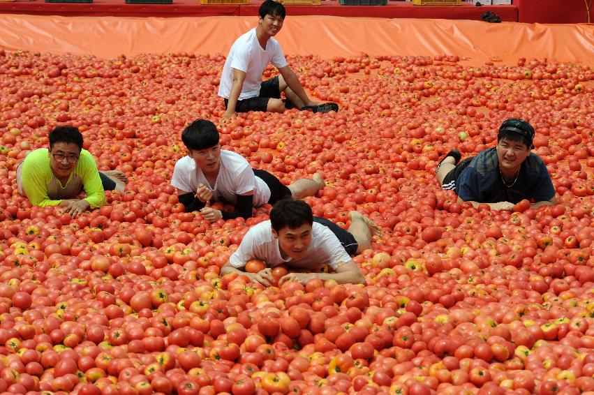 2016 화천토마토축제장 전경 의 사진