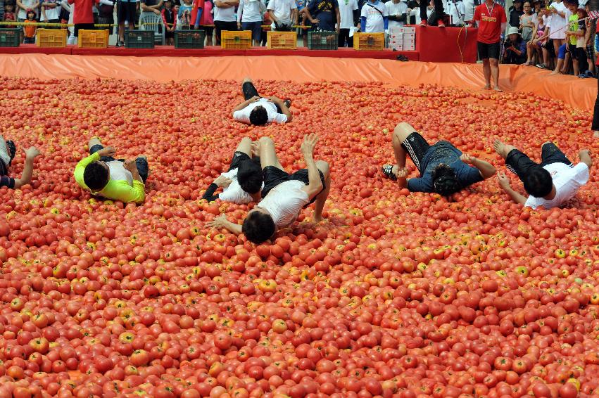 2016 화천토마토축제장 전경 의 사진