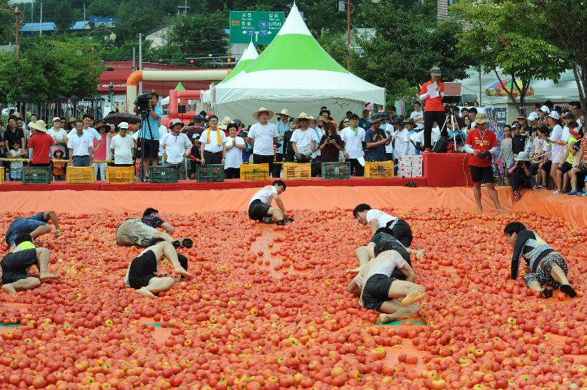 2016 화천토마토축제장 전경 의 사진