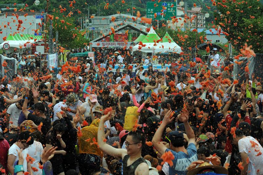 2016 화천토마토축제장 전경 의 사진