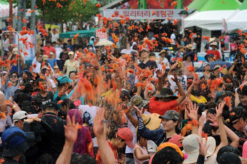 2016 화천토마토축제장 전경 의 사진