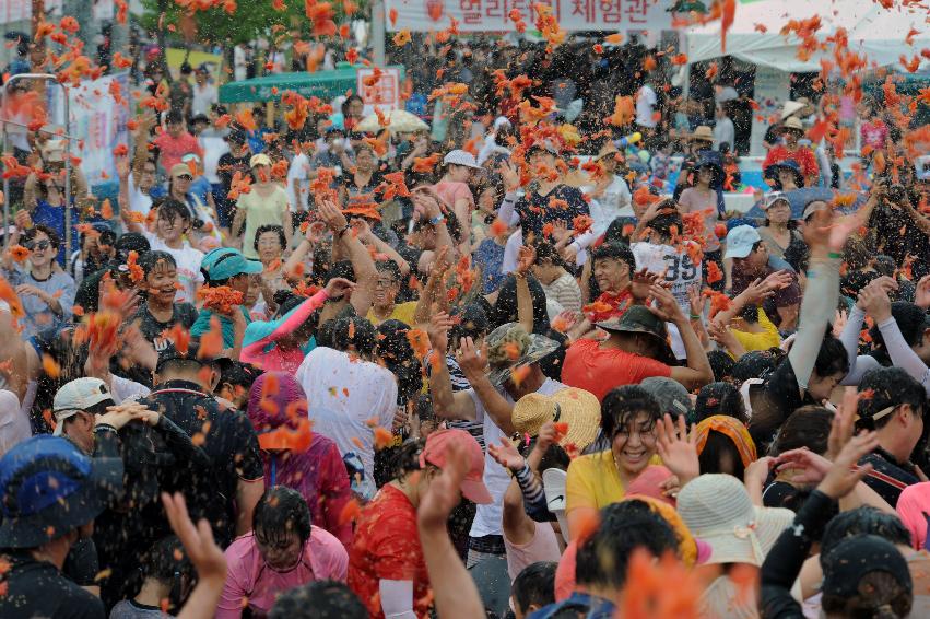 2016 화천토마토축제장 전경 의 사진