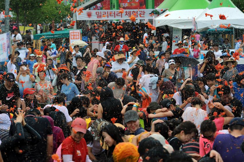 2016 화천토마토축제장 전경 의 사진