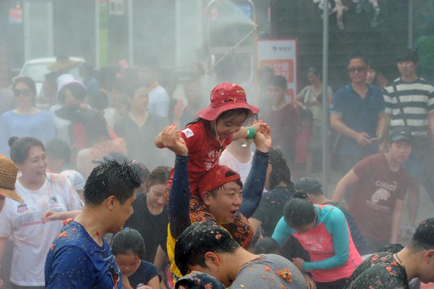 2016 화천토마토축제장 전경 의 사진