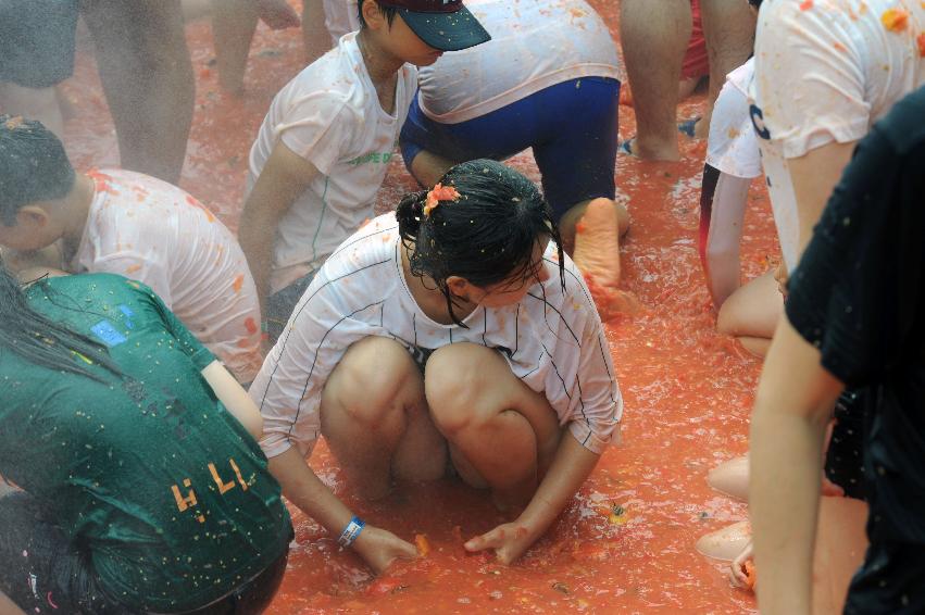 2016 화천토마토축제장 전경 의 사진