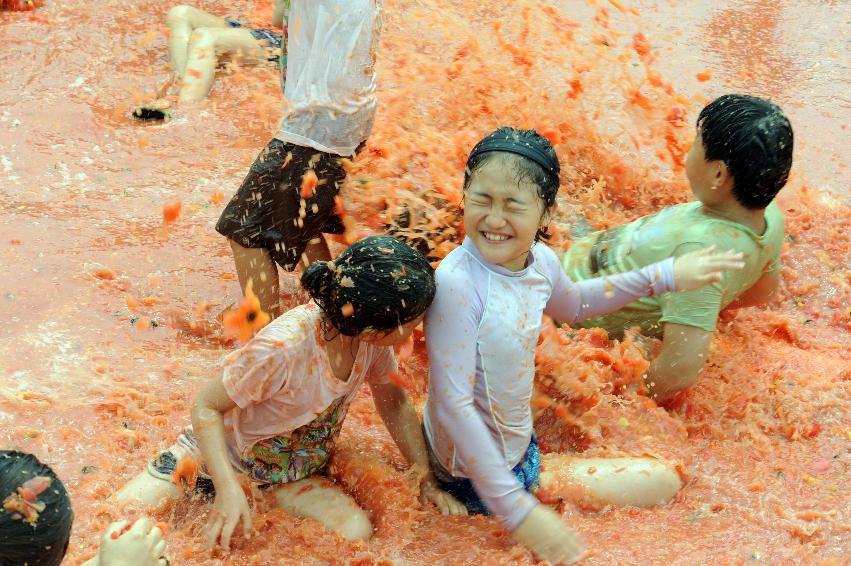 2016 화천토마토축제장 전경 의 사진