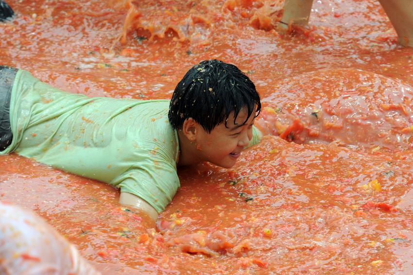 2016 화천토마토축제장 전경 의 사진