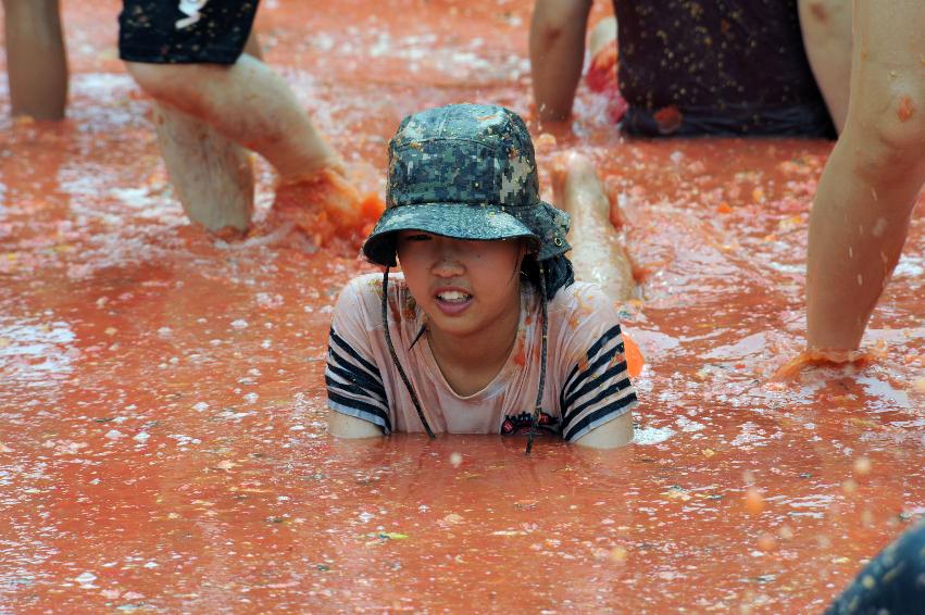 2016 화천토마토축제장 전경 의 사진