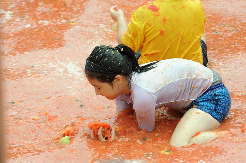 2016 화천토마토축제장 전경 의 사진