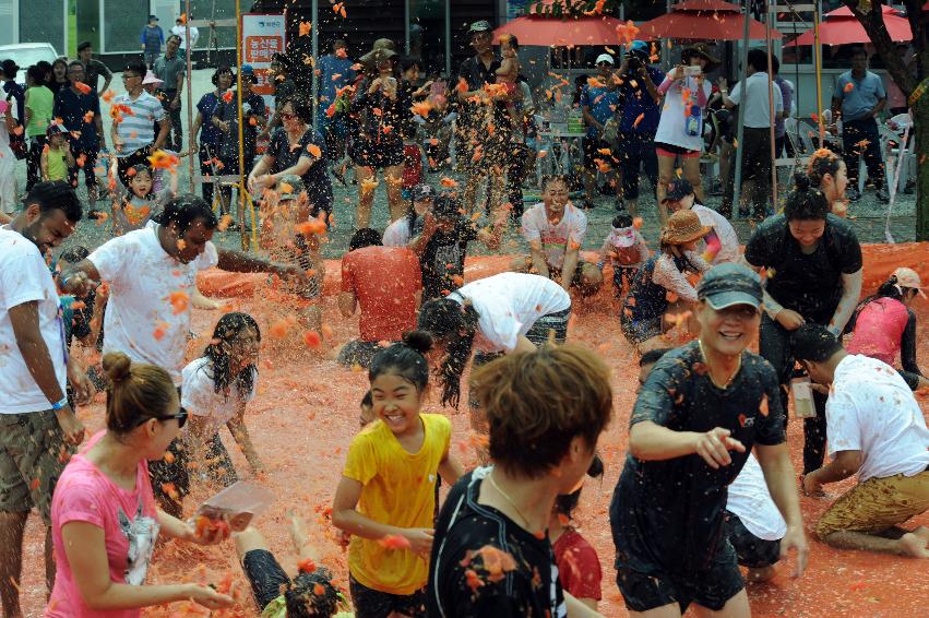 2016 화천토마토축제장 전경 의 사진