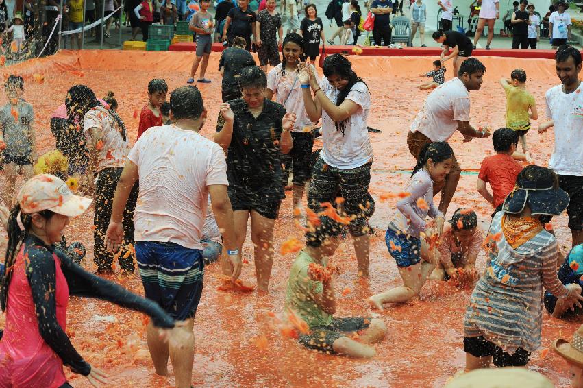 2016 화천토마토축제장 전경 의 사진