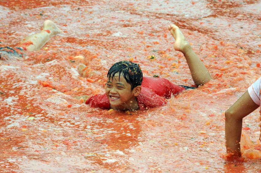 2016 화천토마토축제장 전경 의 사진