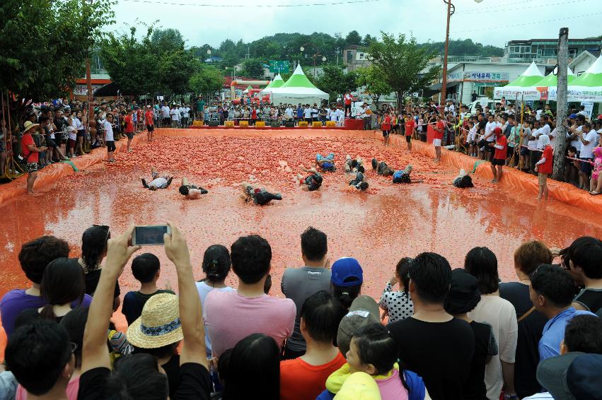 2016 화천토마토축제장 전경 의 사진