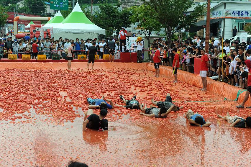 2016 화천토마토축제장 전경 의 사진