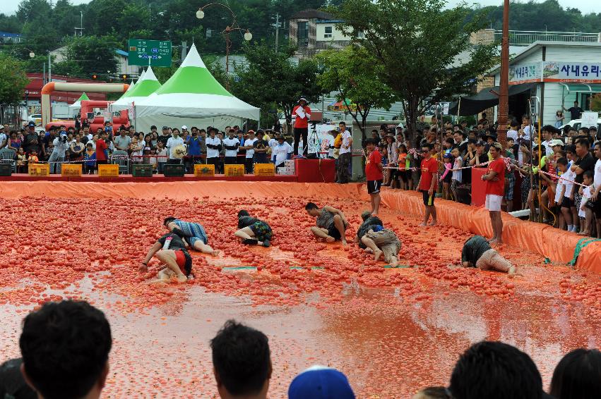 2016 화천토마토축제장 전경 의 사진