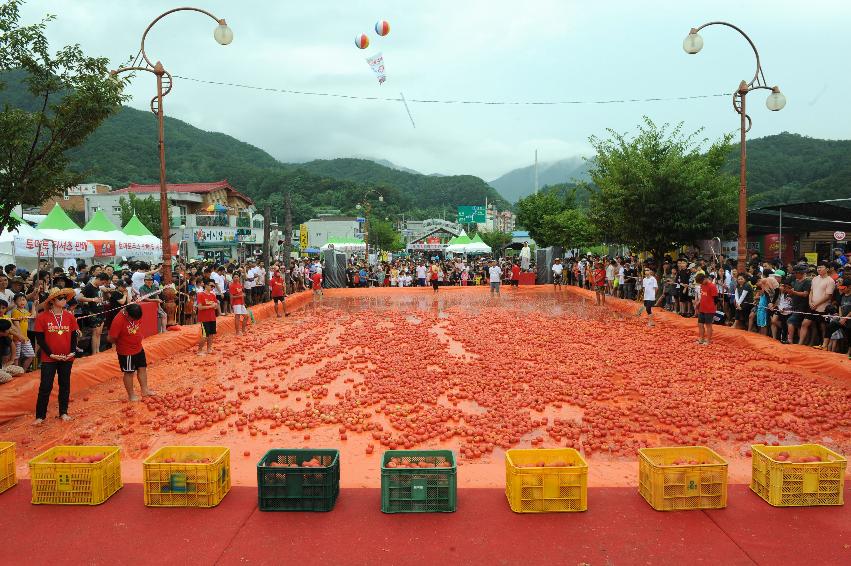 2016 화천토마토축제장 전경 의 사진