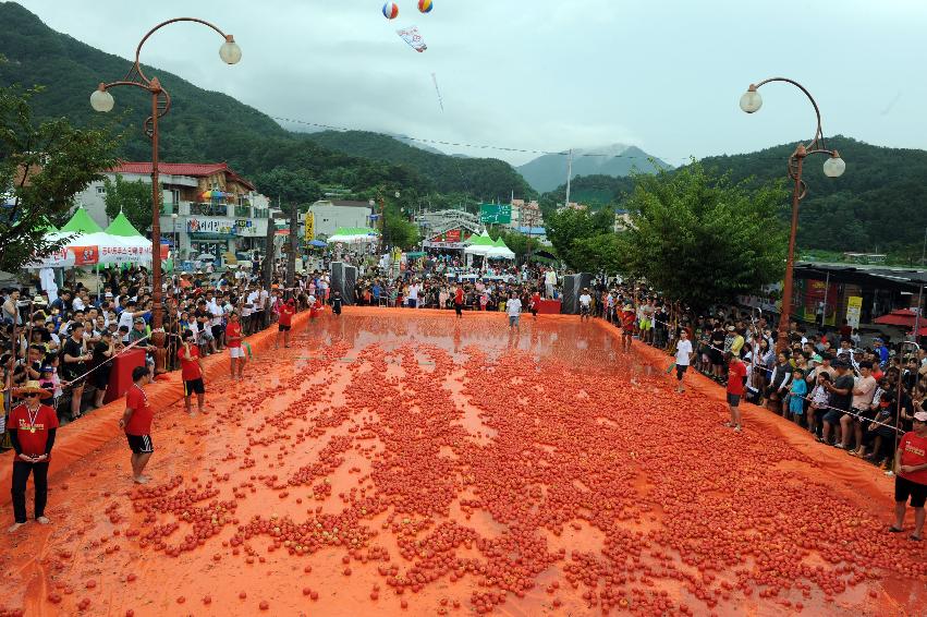 2016 화천토마토축제장 전경 의 사진