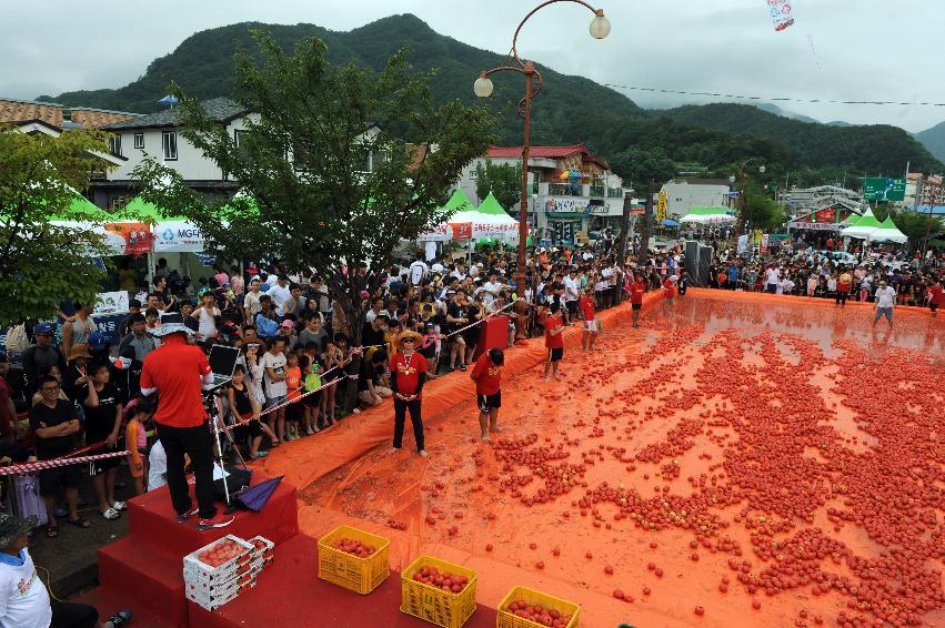 2016 화천토마토축제장 전경 의 사진