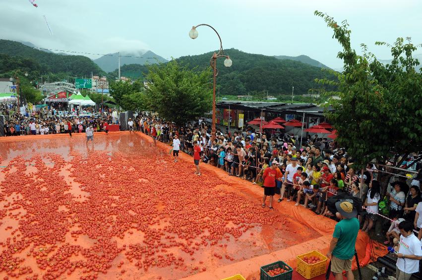 2016 화천토마토축제장 전경 의 사진