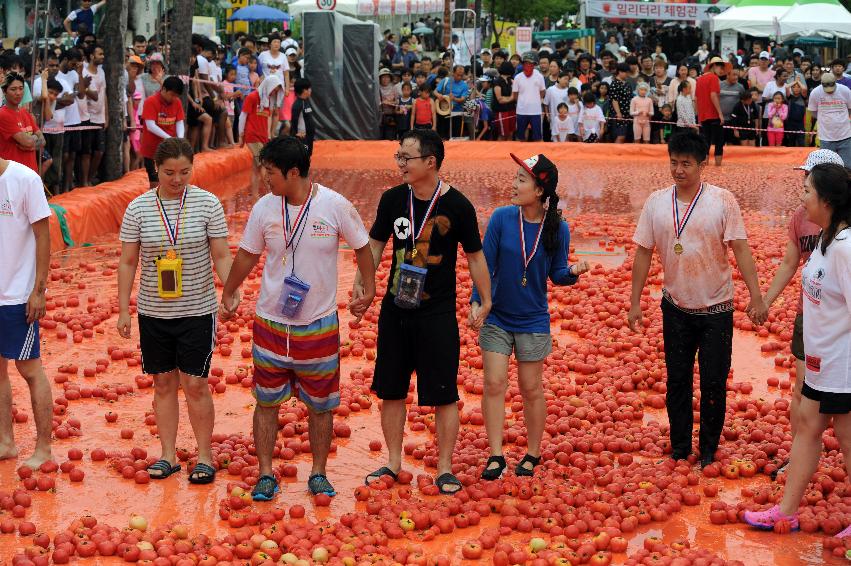 2016 화천토마토축제장 전경 의 사진