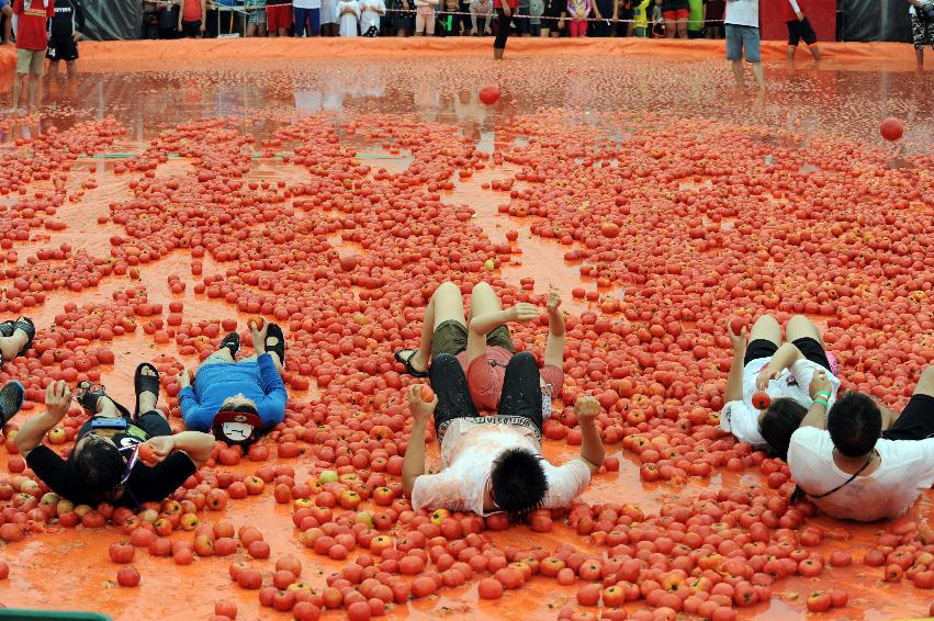 2016 화천토마토축제장 전경 의 사진