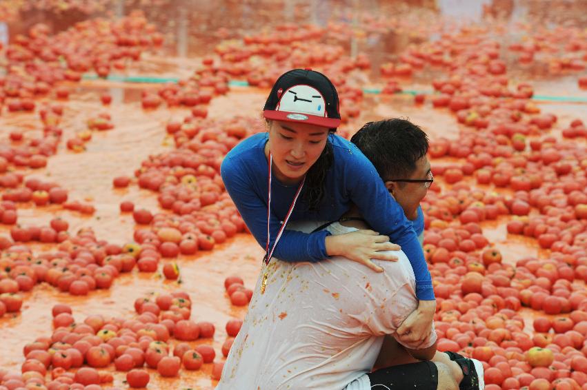 2016 화천토마토축제장 전경 의 사진