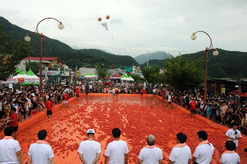 2016 화천토마토축제장 전경 의 사진