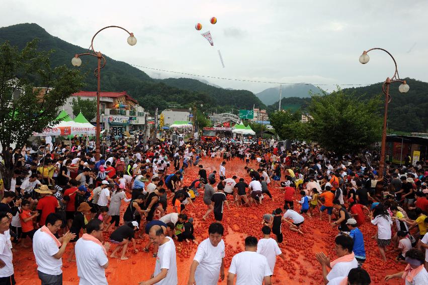 2016 화천토마토축제장 전경 의 사진