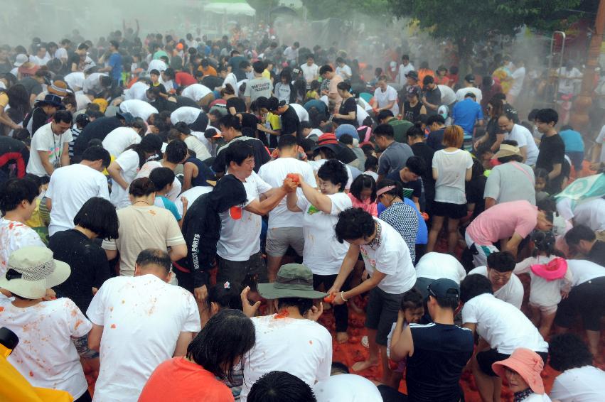 2016 화천토마토축제장 전경 의 사진