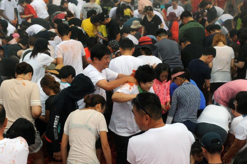 2016 화천토마토축제장 전경 의 사진