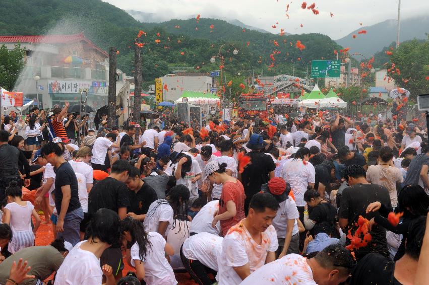 2016 화천토마토축제장 전경 의 사진